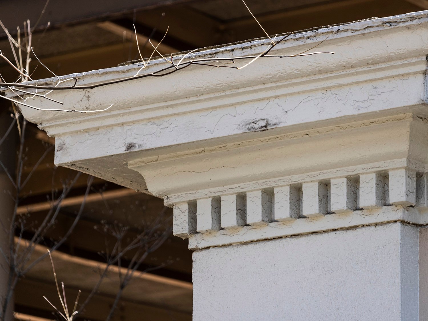 Dentilled cornice on the first-floor facade of Denmark Hall, Athens, Georgia