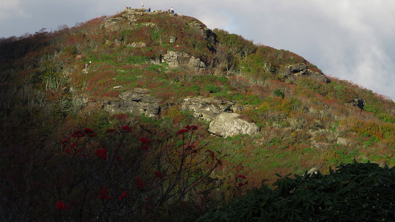 Craggy Gardens, North Carolina
