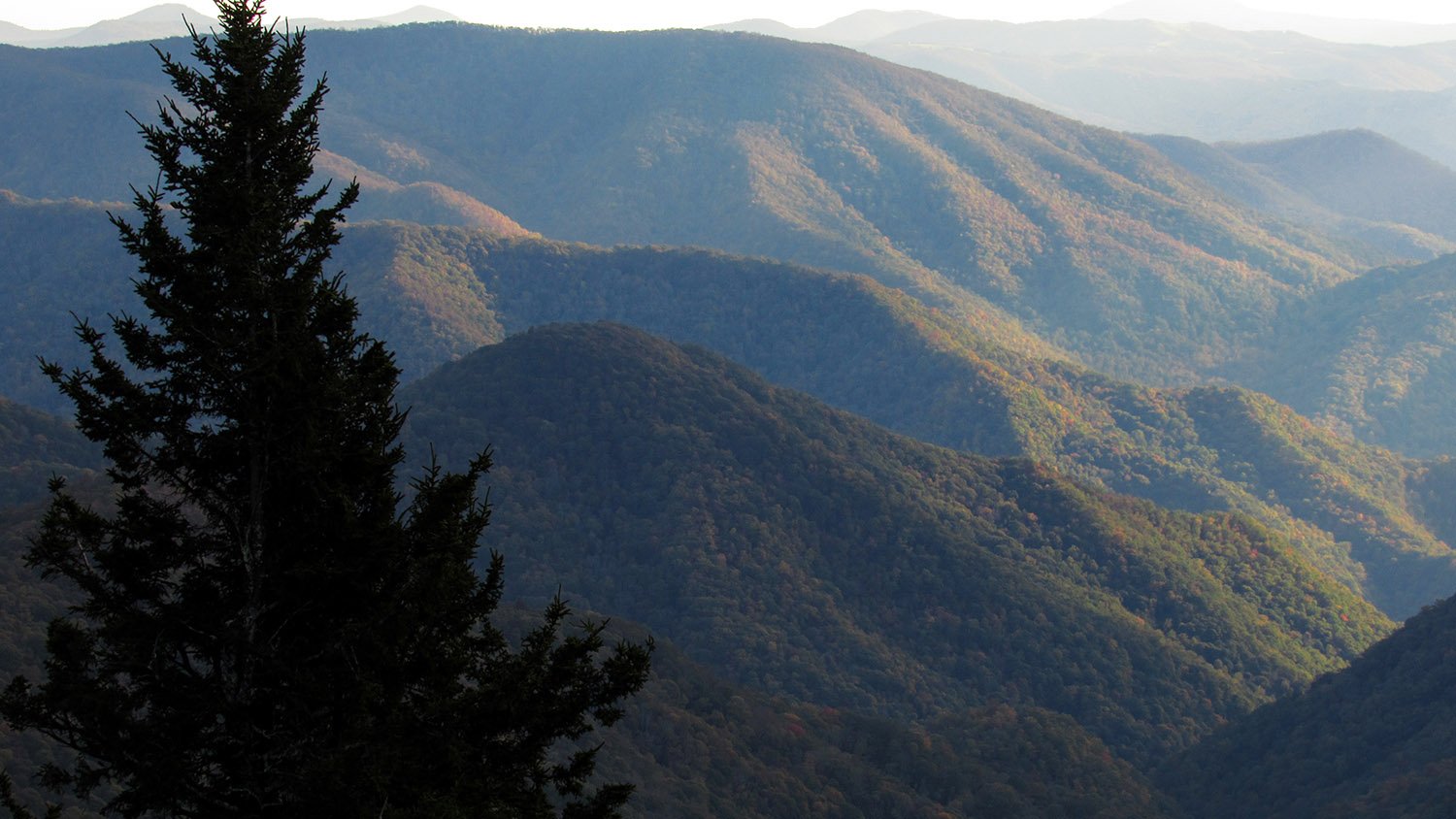Afternoon haze in the Blue Ridge Mountains, North Carolina