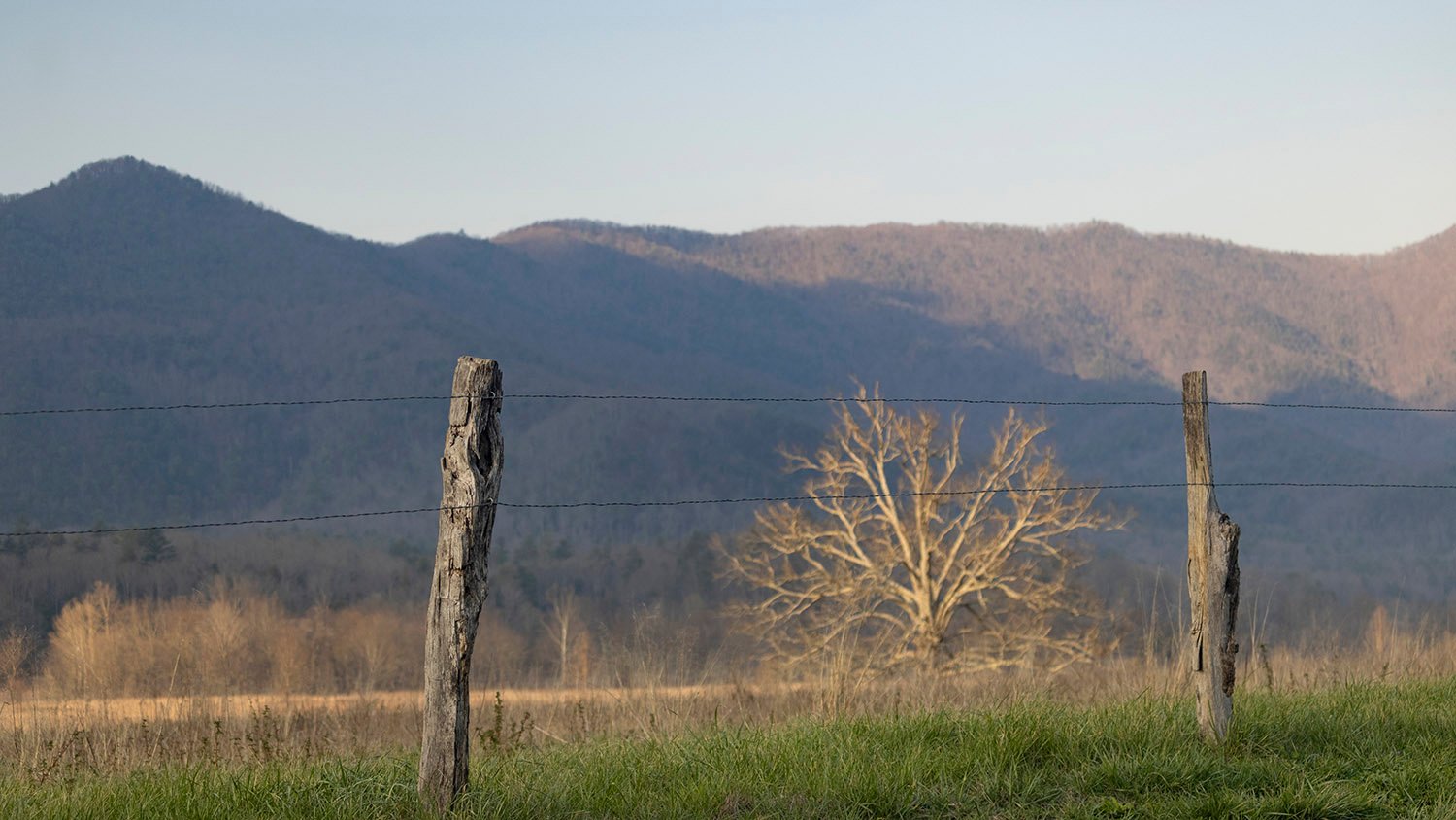 Afternoon haze in Cades Cove, Tennessee