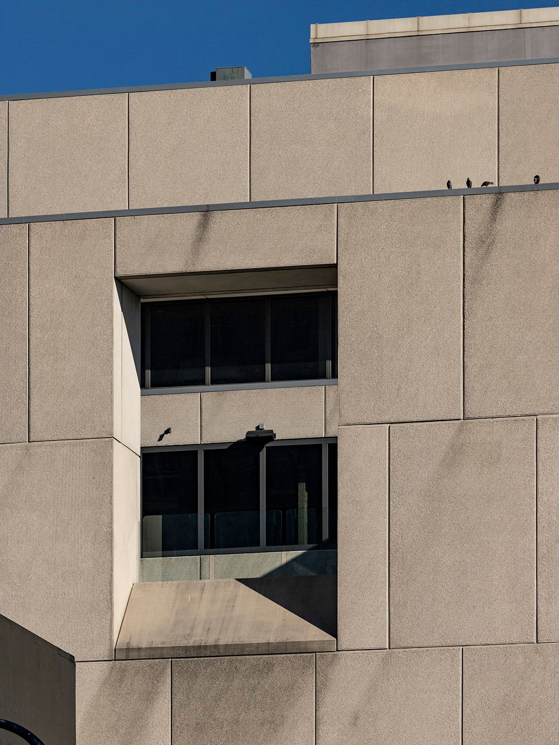 Looking through the window of the rooftop terrace at the Atlanta Central Library