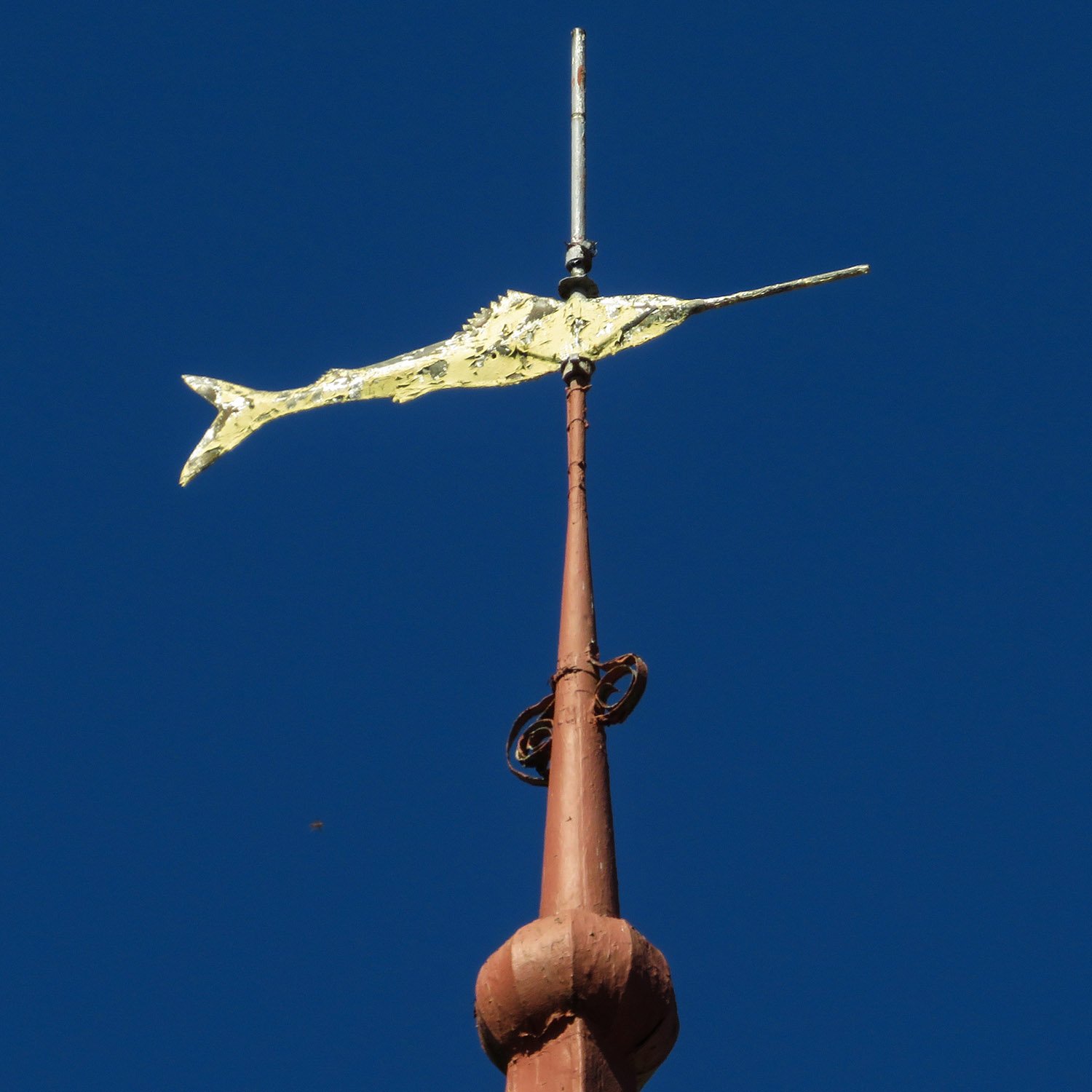 Weather vane on City Hall and Opera House (1882). Newberry, South Carolina.