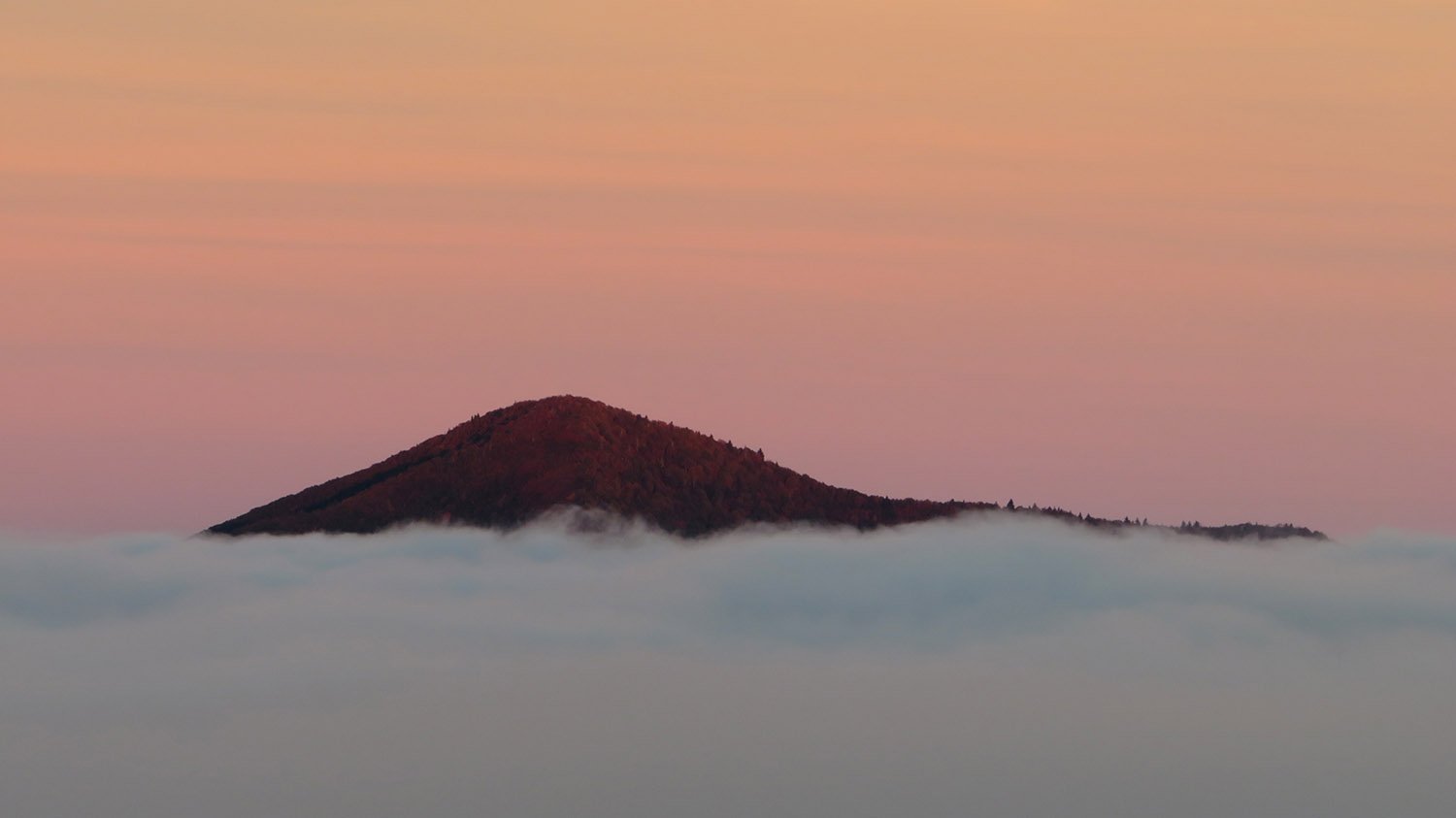 Dawn at Cold Mountain, North Carolina