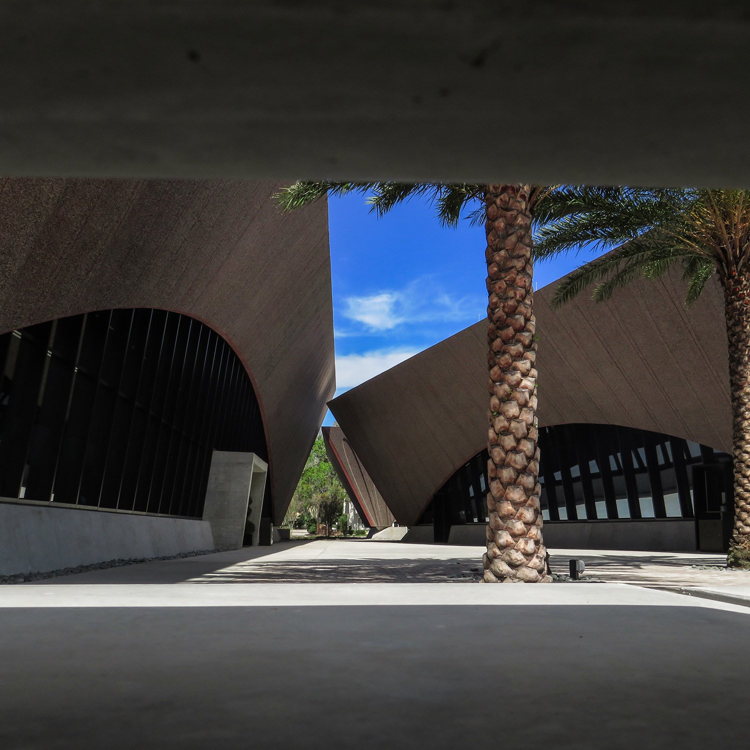 Terrace between the Winter Park Library (left) and Winter Park Events Center (right)