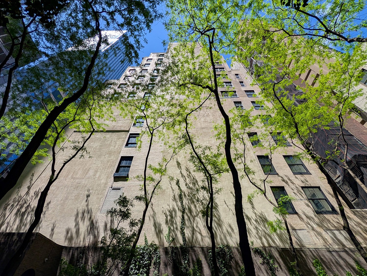 Looking up through the canopy at Paley Park