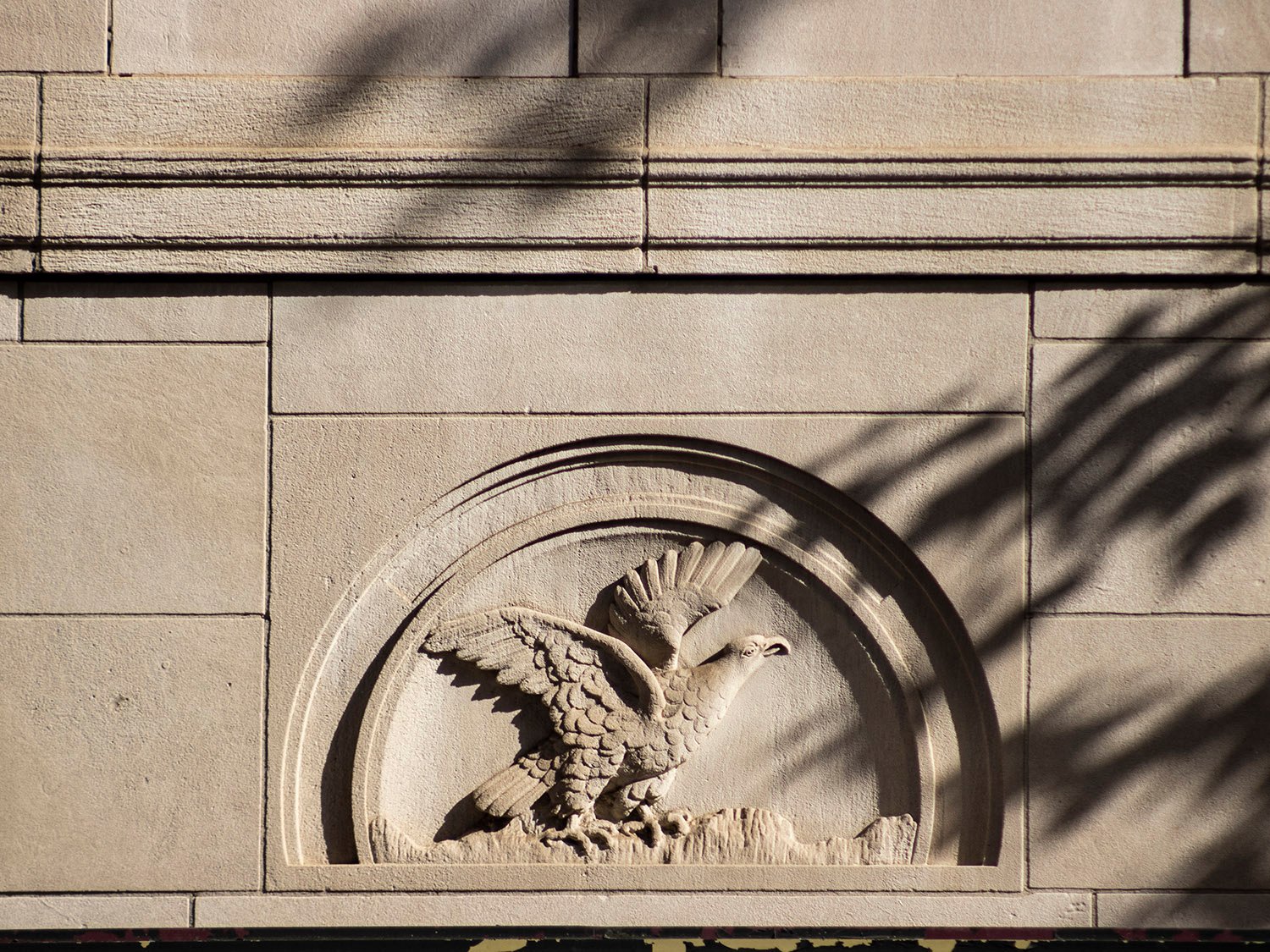 Bas-relief eagle over the west entrance of the Wynne-Claughton Building, Atlanta