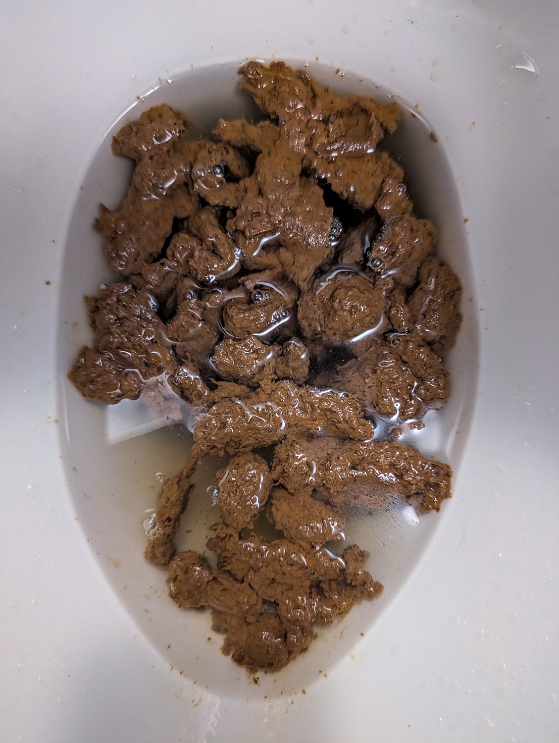 A bowl full of shit