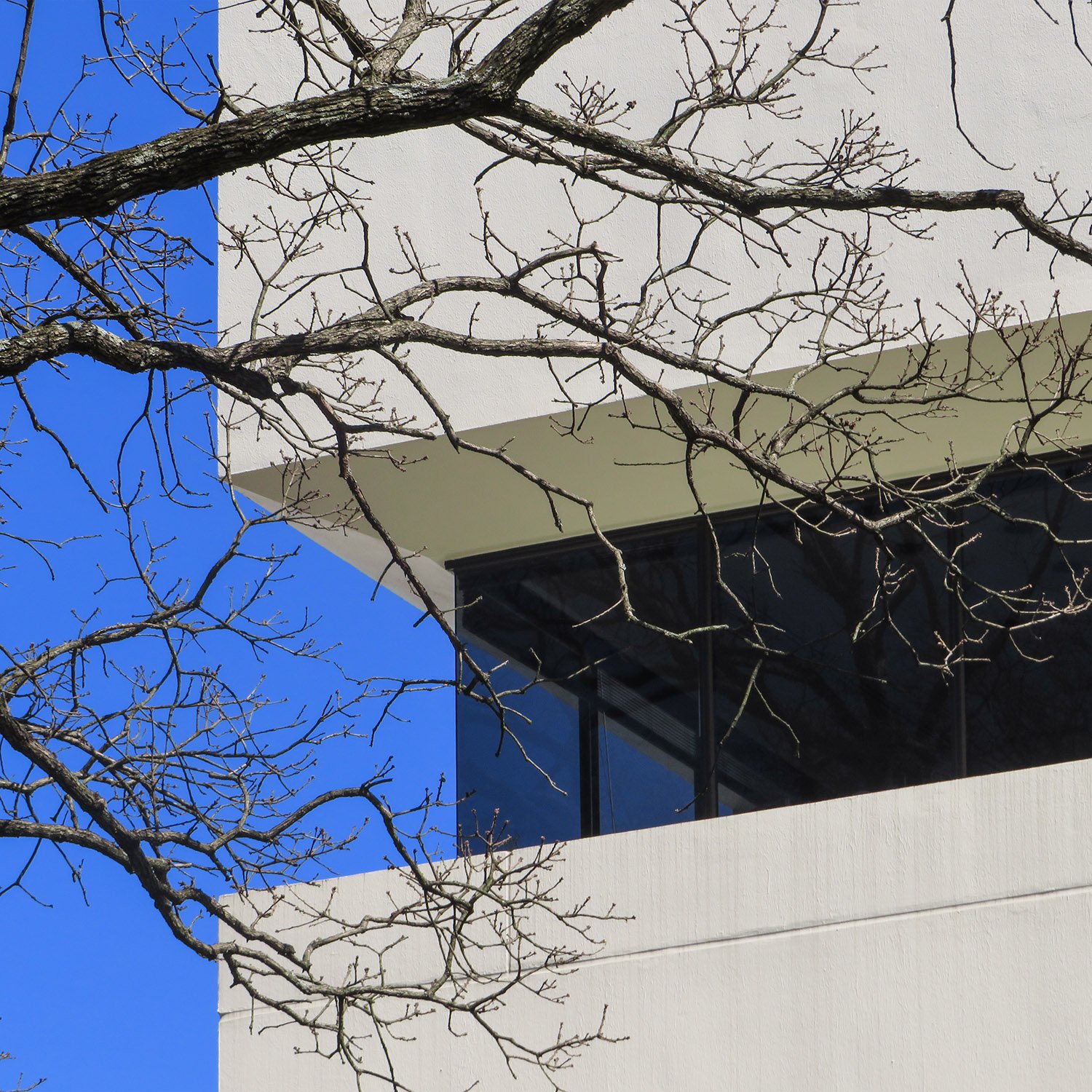 Windows on the northwest corner of Gambrell Hall, Atlanta