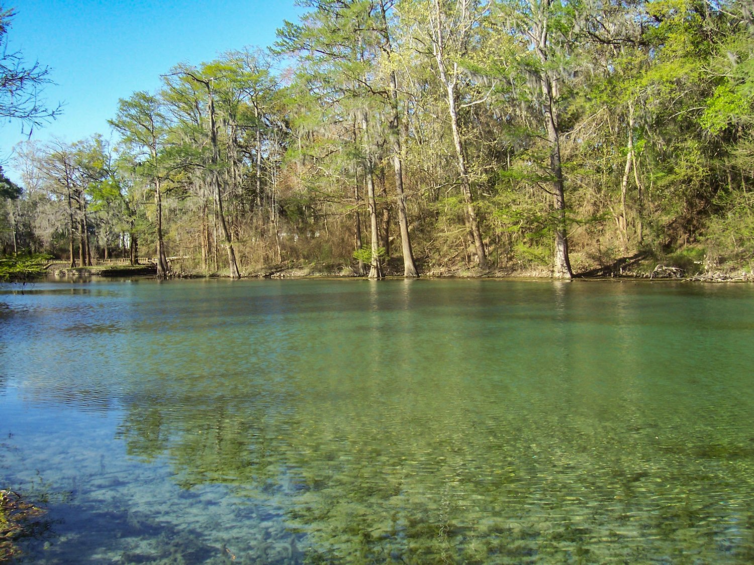 Skywater Creek, Albany, Georgia