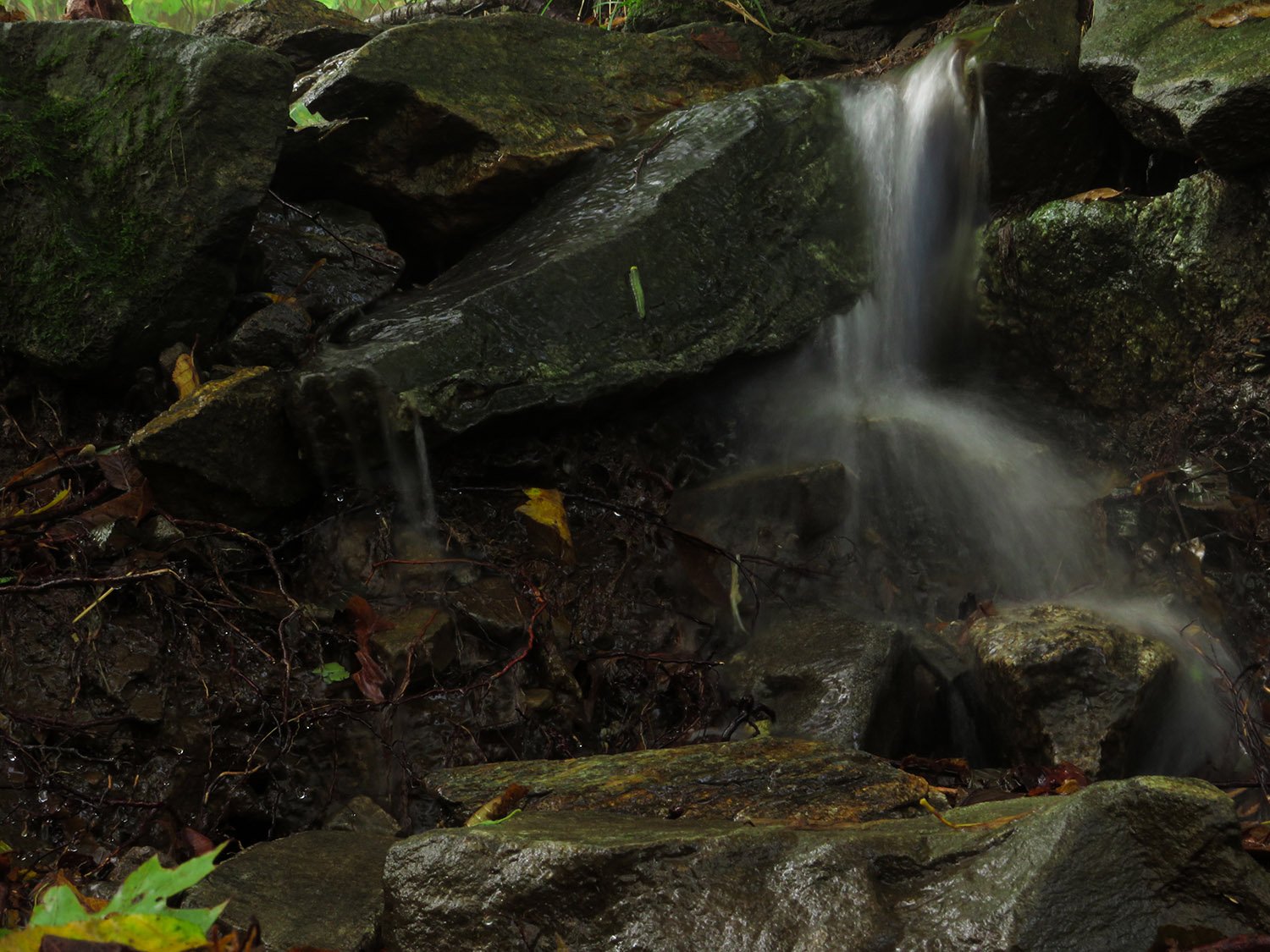 A tiny waterfall in western North Carolina