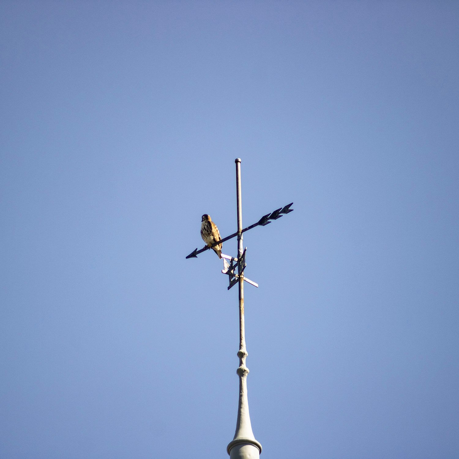 Weather vane on the steeple of the Second Ponce de Leon Baptist Church