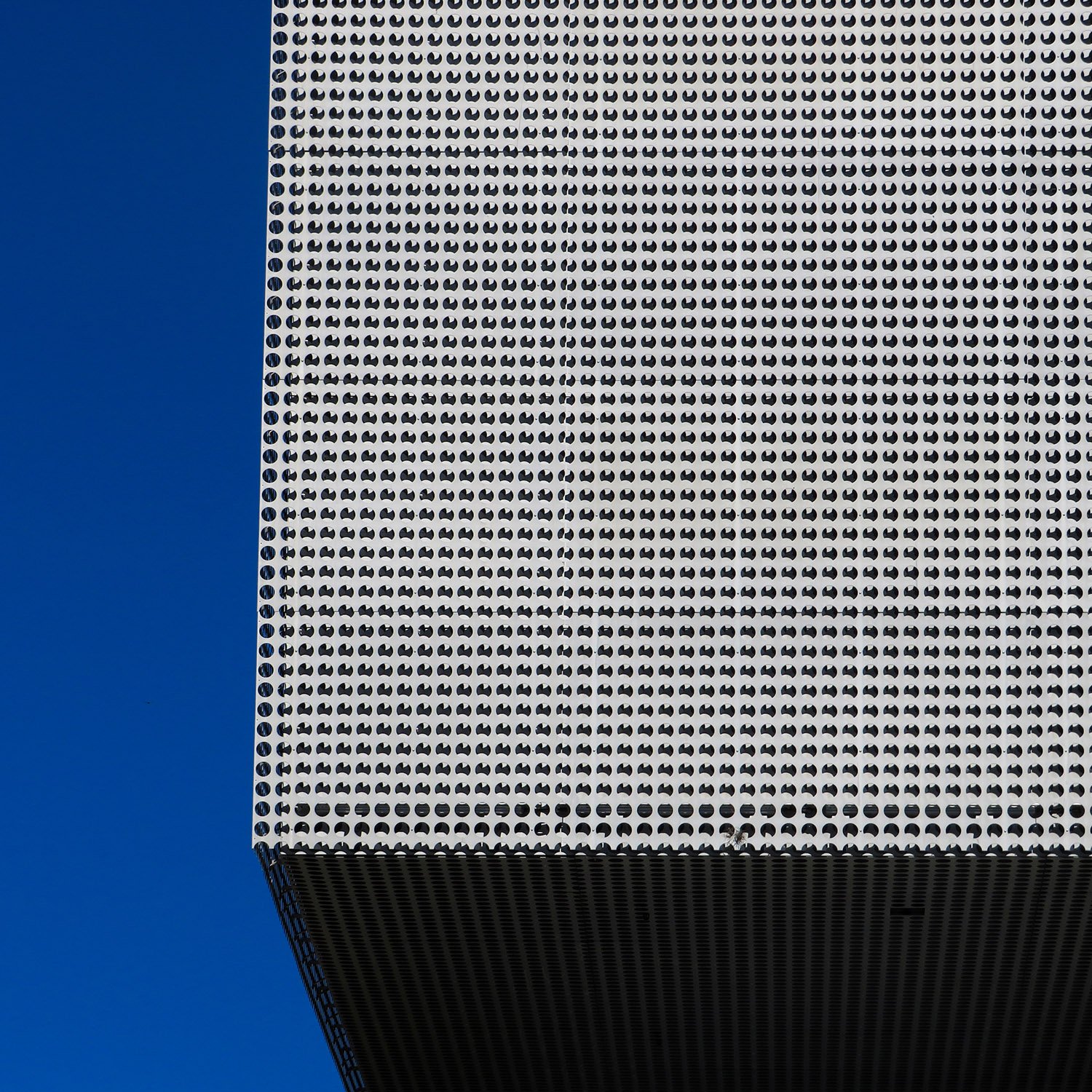 Aluminum screen on the facade of the Tampa Museum of Art, Tampa