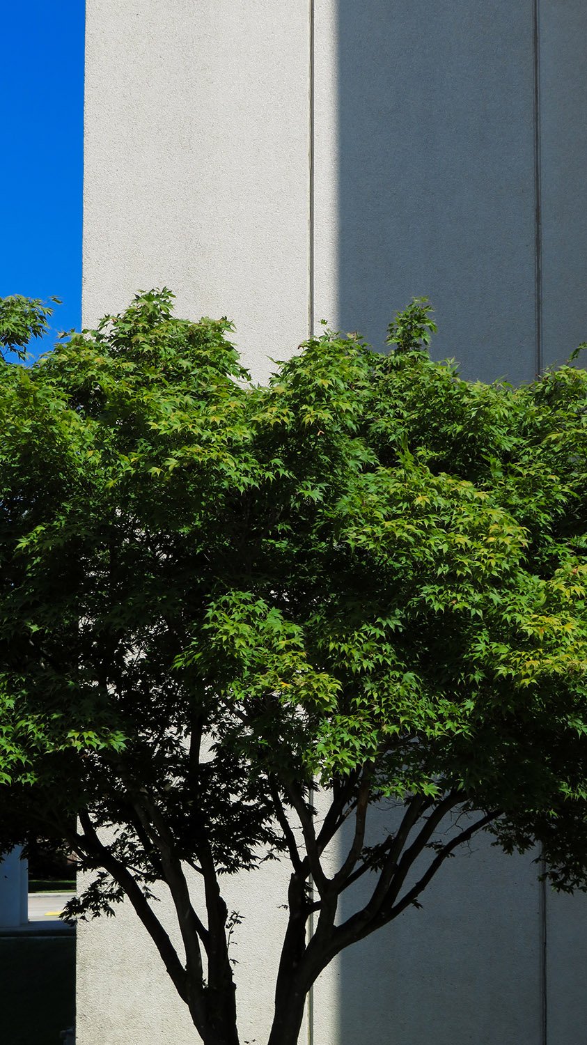 Concrete panels on the Walton Clinton Jackson Library Addition, Greensboro, North Carolina