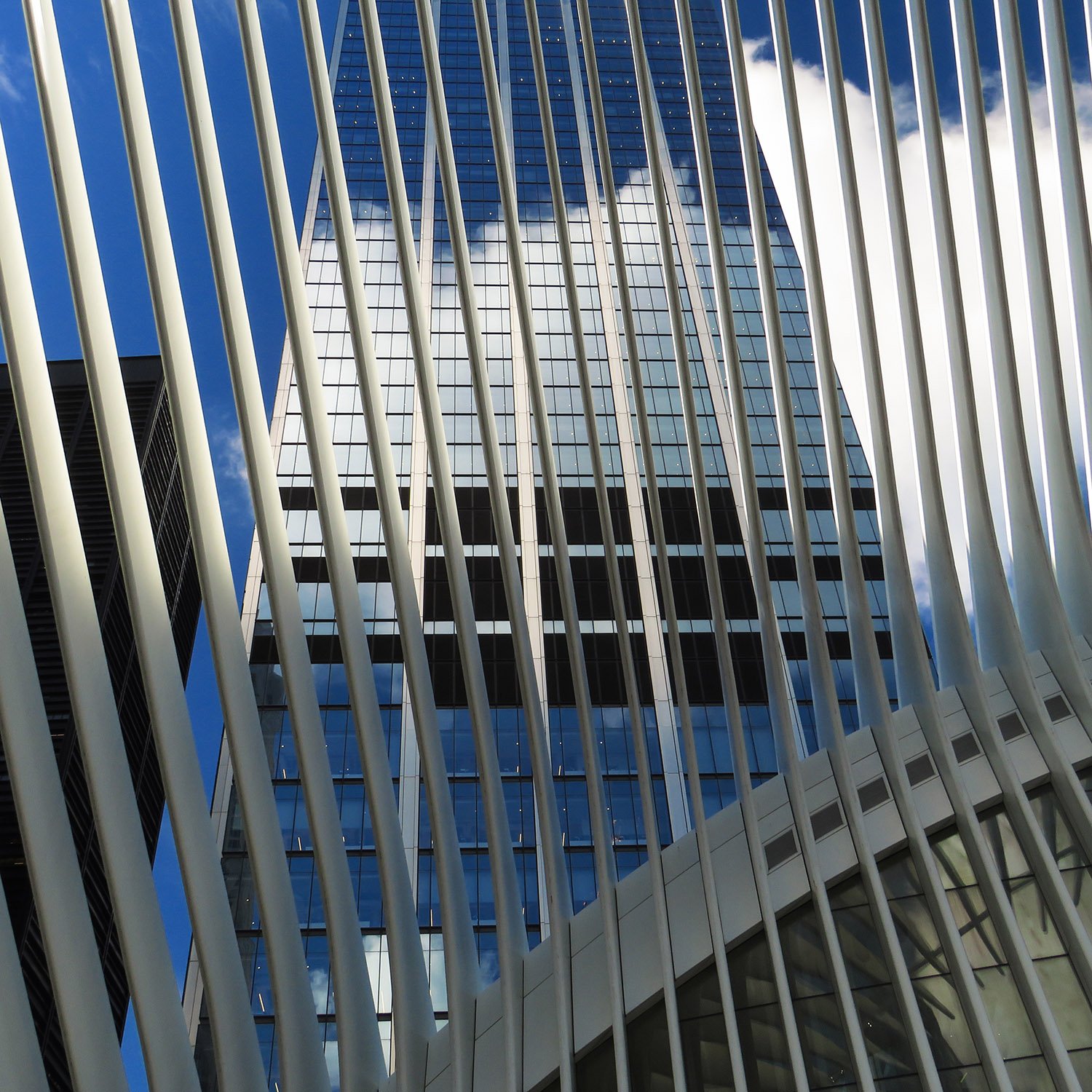 Looking up through steel ribs on the World Trade Center Transportation Hub, New York