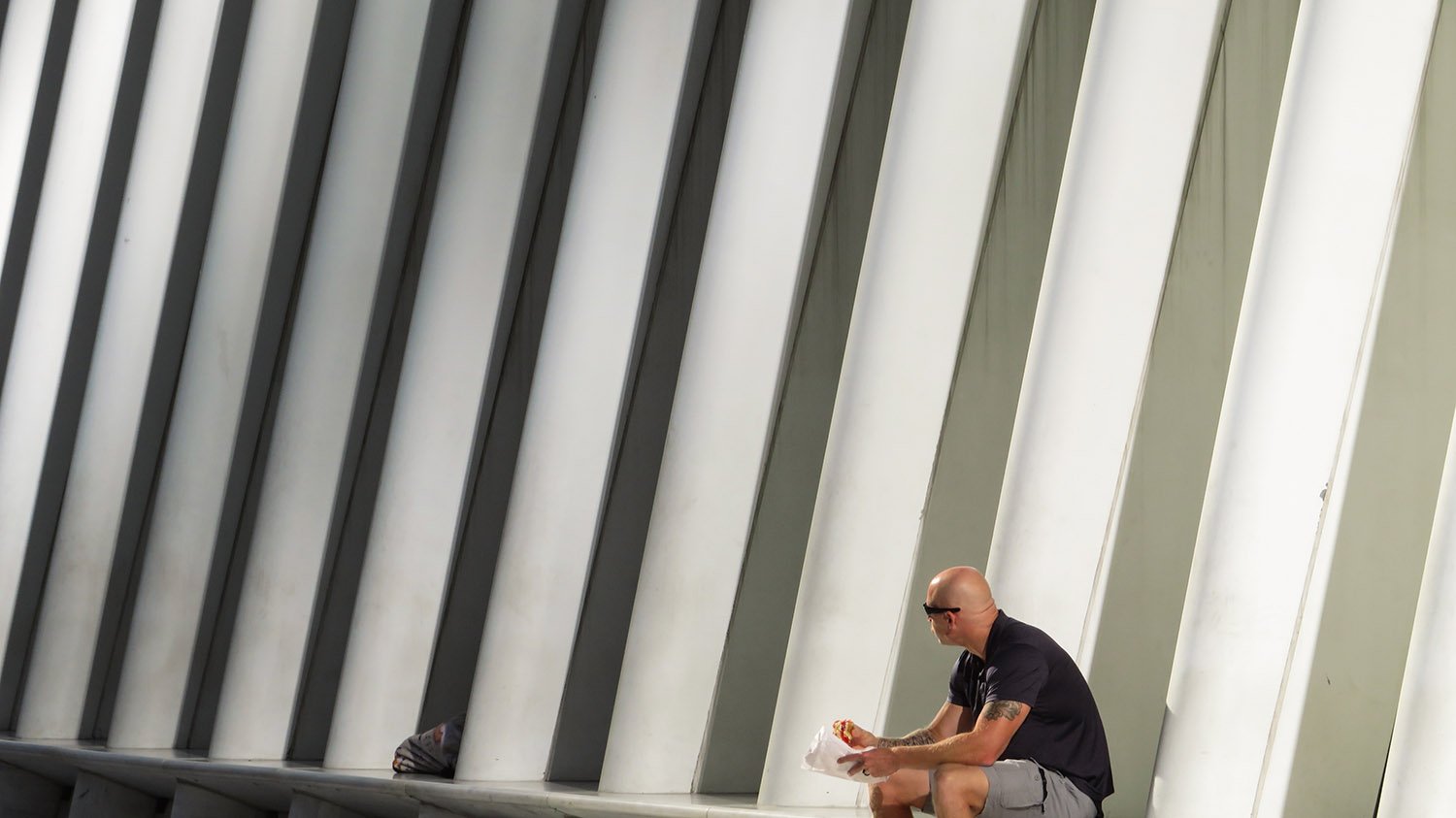 Looking across the north elevation of the World Trade Center Transportation Hub, New York