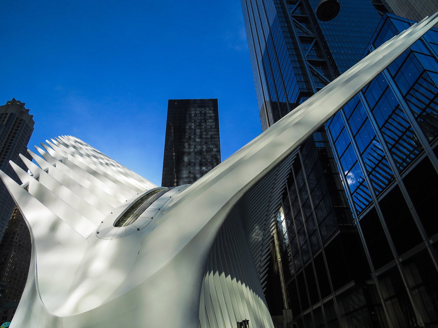 Looking up at the World Trade Center Transportation Hub from the west