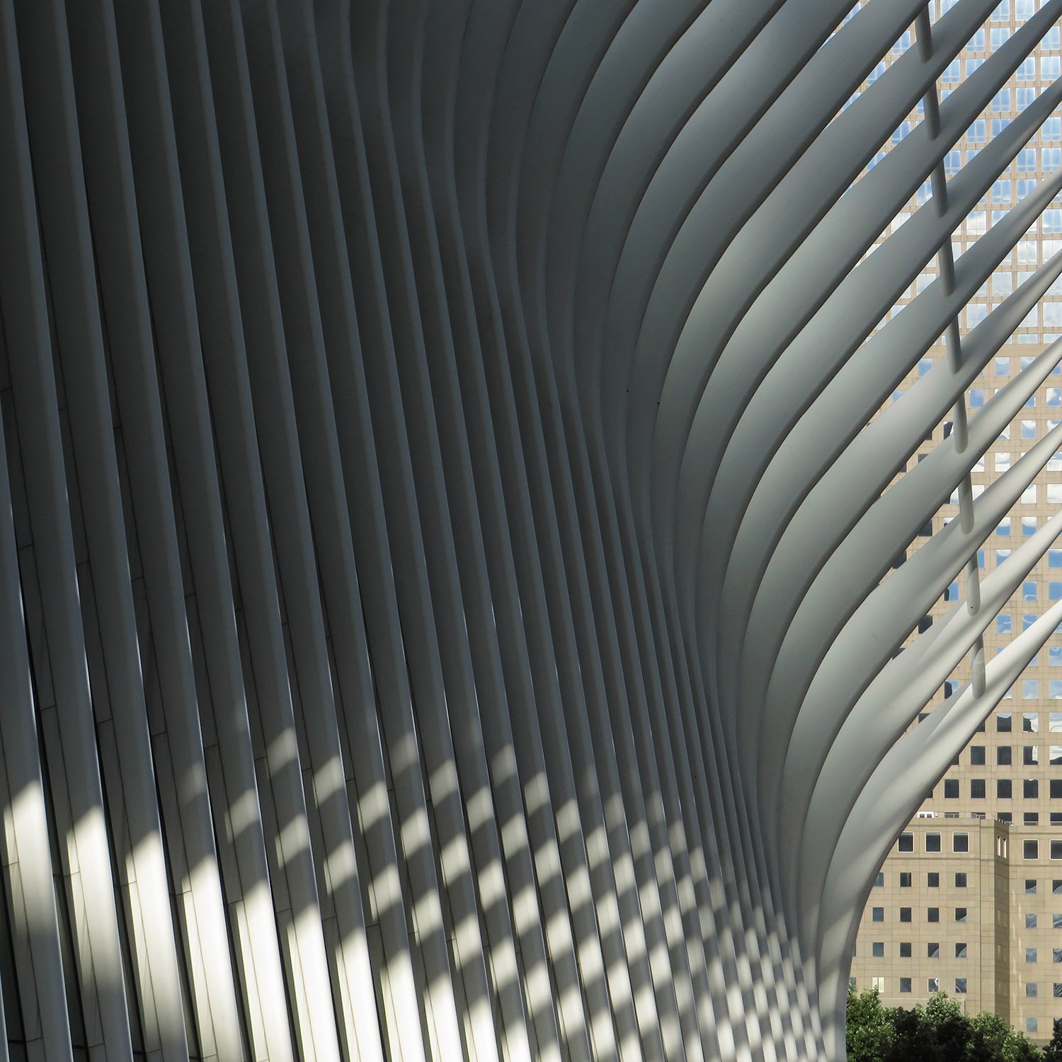 Looking across the north elevation of the World Trade Center Transportation Hub, New York