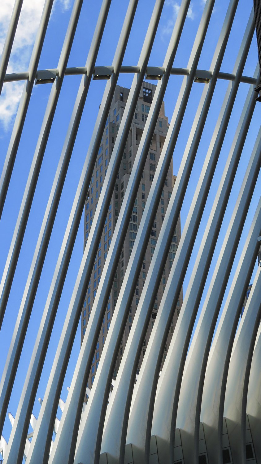 Looking up through steel ribs on the World Trade Center Transportation Hub, New York