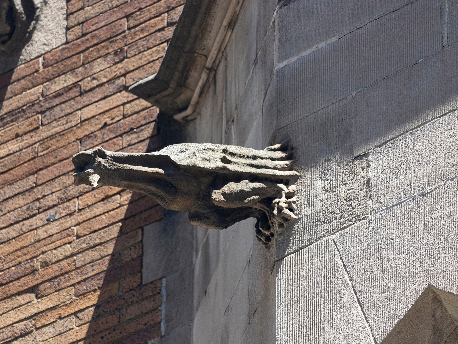 Gargoyle on the west elevation of the Clarence B. Moore Residence, Philadelphia