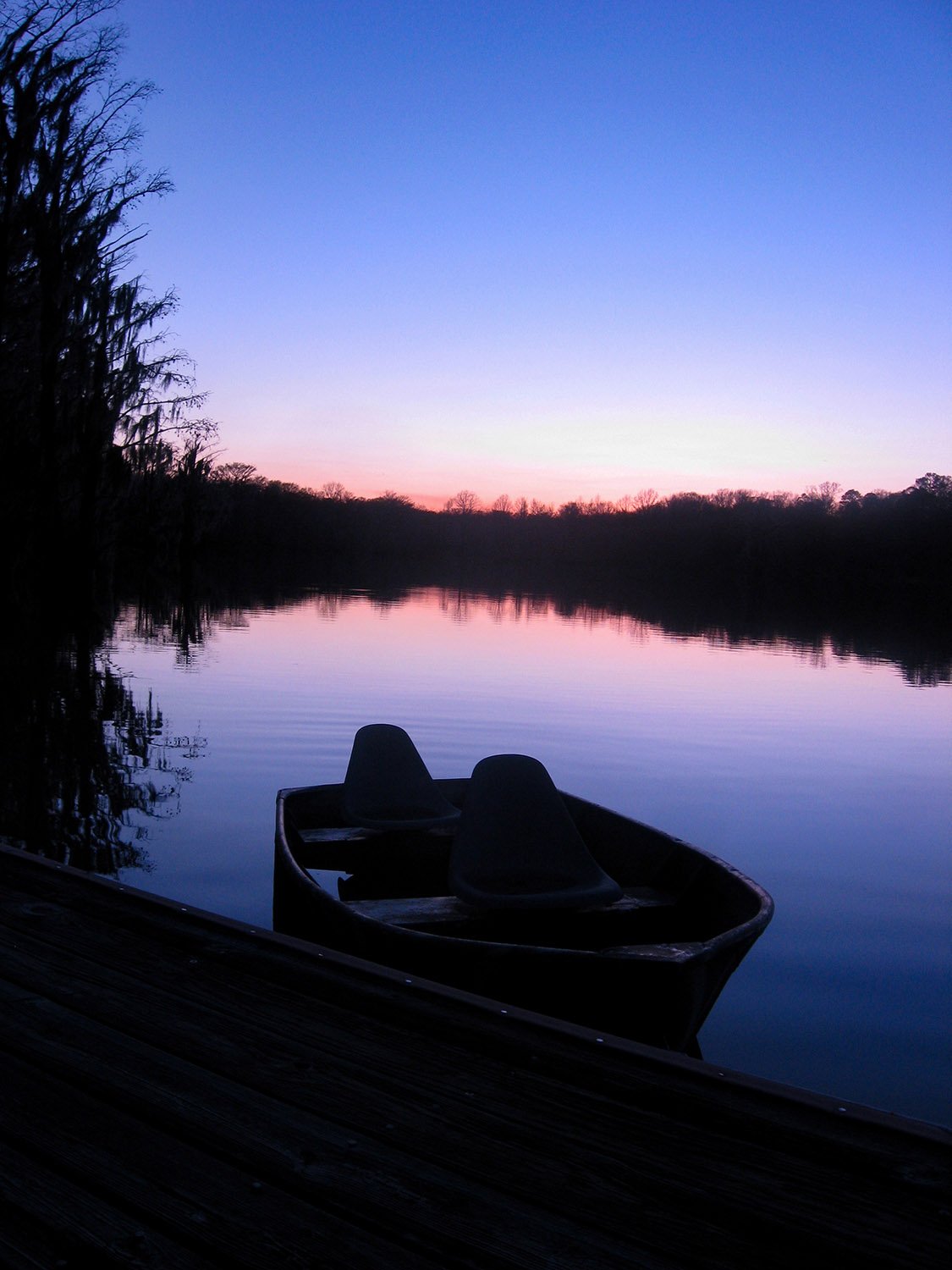 A cypress pond near Albany, Georgia