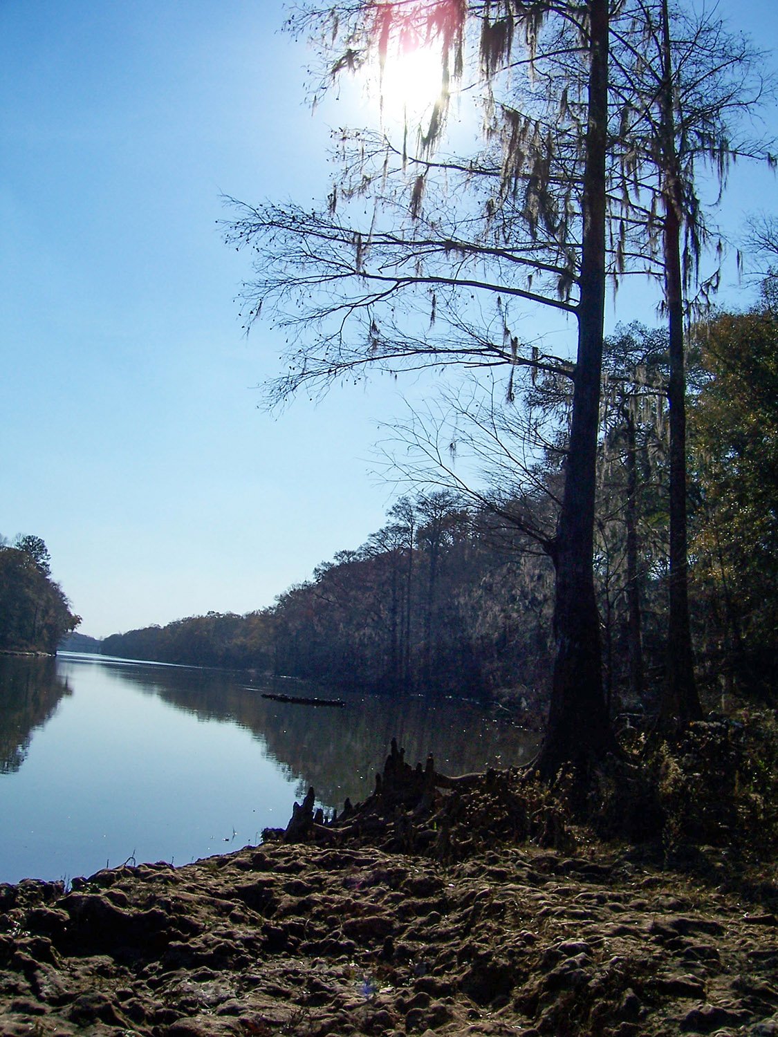 Flint River, Albany, Georgia