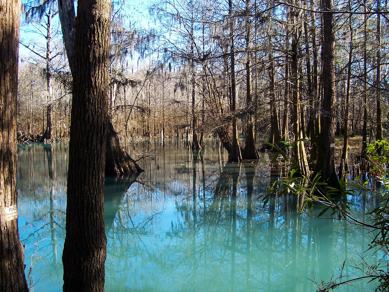 Skywater Creek, Albany, Georgia