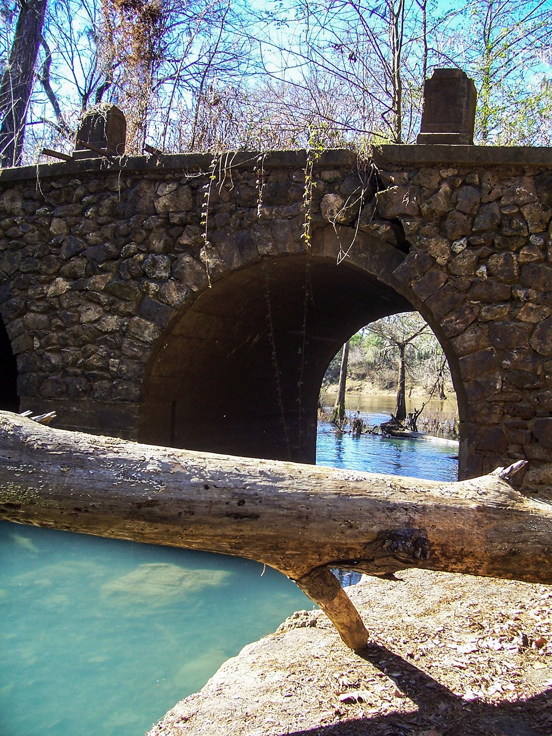 Skywater Creek meets the Flint River, Albany, Georgia