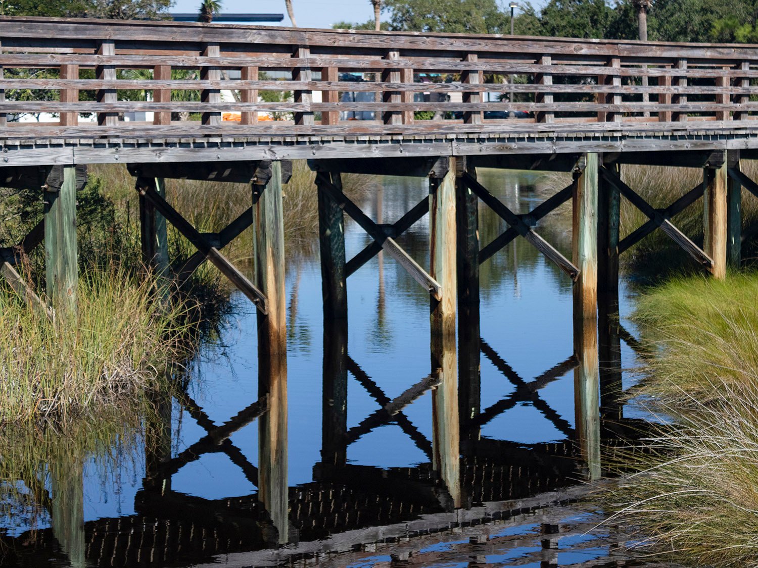 Boardwalk reflecting in marsh water