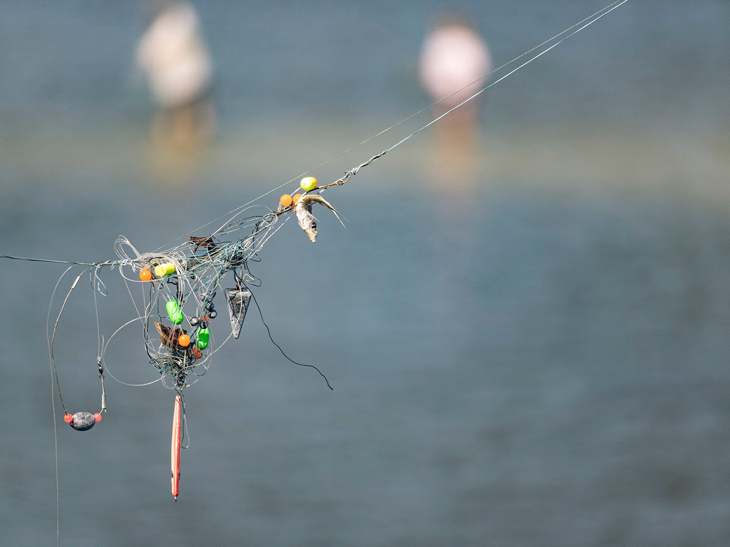 A tangle of lures