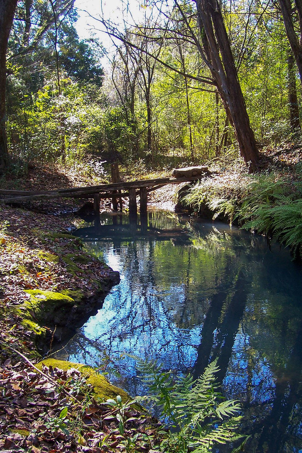 Palmyra Springs, Lee County, Georgia